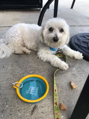   at Superfoods Cafe & Market in Mt Airy