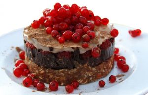 Duo Cake 
nuts&oats&coconut flakes base, silky avocado&carob cream, forest fruits from our village, cashew whipped cream; gluten free, honey/stevia/dates sweetner, no preservatives, all fresh&bio  at Copacul Vietii in Sibiu