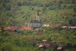 Our beautiful Village Rod
on Transalpina, King Road Entrance at Copacul Vietii in Sibiu