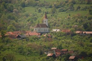 Our beautiful Village Rod
on Transalpina, King Road Entrance at Copacul Vietii in Sibiu