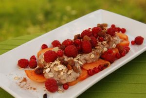 Raw Vegan Breakfast - Psyllium Pudding with Vanilla Nut Milk, Cinnamon, Apricots, Raspberry and Red Currant - forest fruits from our village bio&extremely fresh at Copacul Vietii in Sibiu