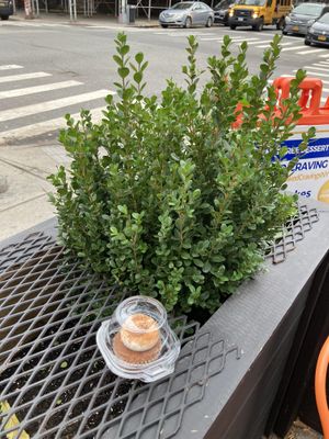 Cupcake in package  at Baked Cravings in New York City