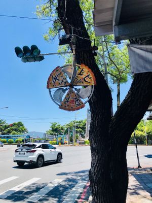  at  夏太熱 Summer Too Hot Pizzatopia in Hualien