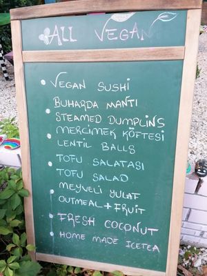 Menu at All Vegan in Antalya