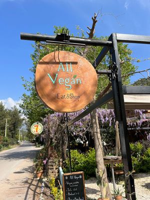   at All Vegan in Antalya