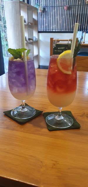 Magenta Lemonade and Rose Ginger drinks at Sauce Tree Sanur: Plant Based Cafe in Sanur