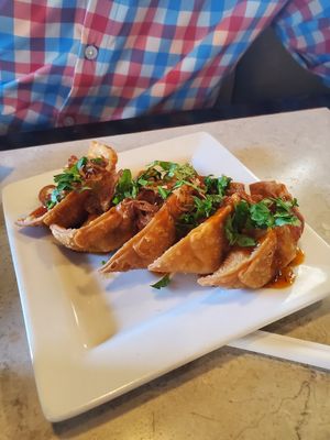 Tofu red curry dumplings at Basil Babe in Ypsilanti
