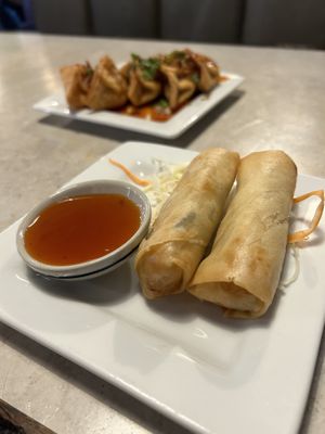 Spring rolls: piping hot and delicious   at Basil Babe in Ypsilanti