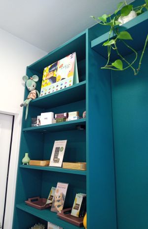 Various vegan chocolate bars at Dulceria in Vienna