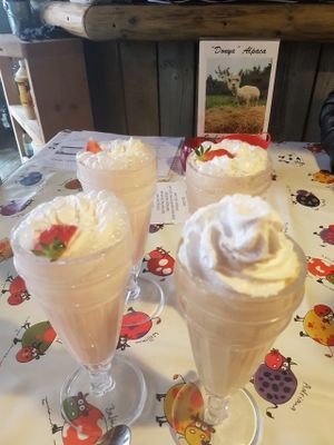 peanut butter milkshake was to die for at Duke Bullock's Vegan Cafe in Scarborough