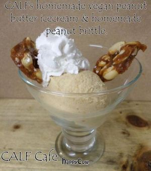 Homemade icecreams at Duke Bullock's Vegan Cafe in Scarborough