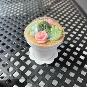 succulent pot at Valhalla Bakery in Orlando