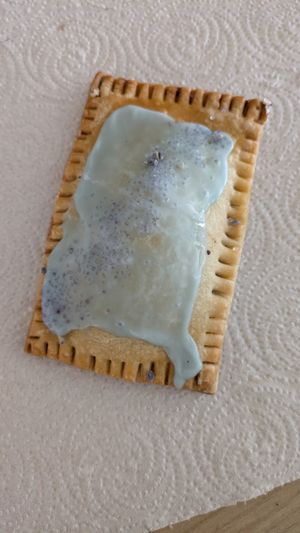 Blueberry lavender hand pie. at Valhalla Bakery in Orlando