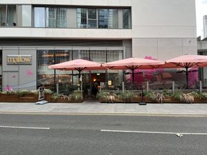 Exterior outdoor seating   at Mallow - Canary Wharf in East London