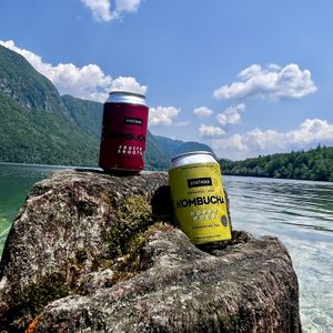 kombucha   at soPlanty Corner in Bohinjsko Jezero