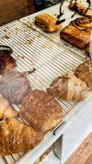   at TheDorkyFrench Vegan Bakery in Glasgow