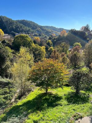 Barjols at Chez Ventura in Barjols