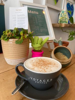  at hand:plant in Ilfracombe