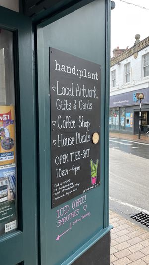   at hand:plant in Ilfracombe