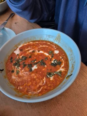  at hand:plant in Ilfracombe