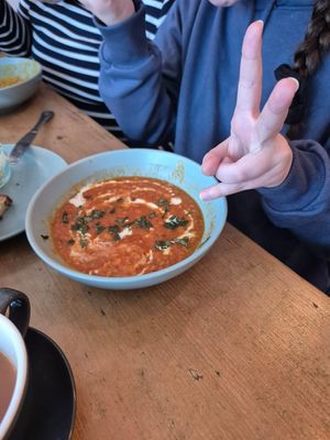  at hand:plant in Ilfracombe