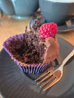  at hand:plant in Ilfracombe