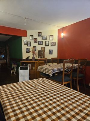  at Vento Romano in Istanbul