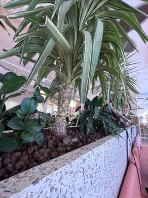   at Hulala in Dusseldorf