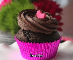 Black Magic Cupcake at Kelly's Bake Shoppe in Oakville