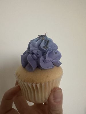 Lavender vanilla cupcake 😍  at Mister Nice Guy's Bakeshop in Ascot Vale