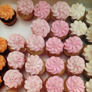 mini cupcakes at Mister Nice Guy's Bakeshop in Ascot Vale