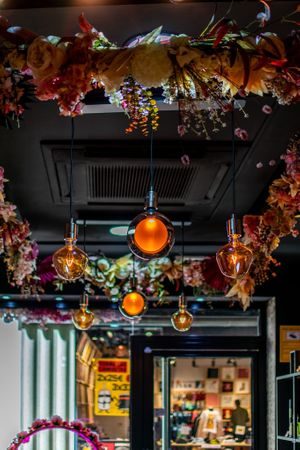  at Fox & Wolf in Murcia