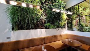  at Wild & The Moon in Doha