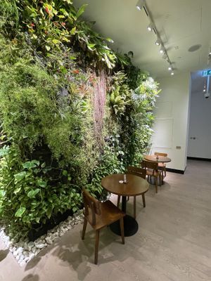 Living wall  at Wild & The Moon in Doha