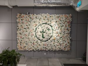 #Veganuary at Tea Plus in Vienna