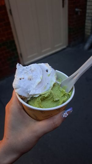 Really great ice cream.
Didn't like the matcha one but the coconut-cacao nibs is good:))
Nice variety of vegan ice cream at CANAL in Berlin