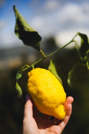  at Mangu Mangas in Vilnius