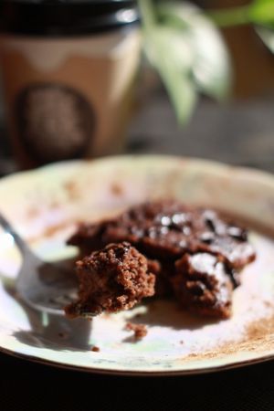 BrownieLove at Feelovesophy in Uvita