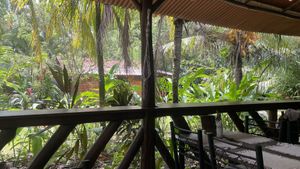   at Feelovesophy in Uvita