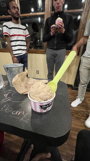 2 different vegan ice creams not sorbet   at Blank Slate Creamery in Ann Arbor