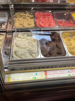 Sorbet, vegan options  at Amorino in Prague