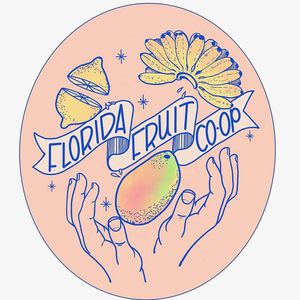  at Florida Fruit Cooperative - Williams Park in St Pete Beach