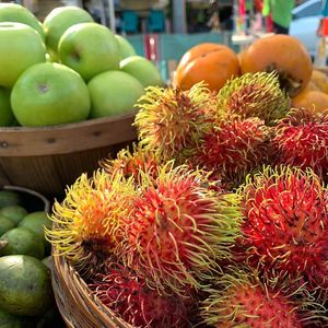  at Florida Fruit Cooperative - Williams Park in St Pete Beach