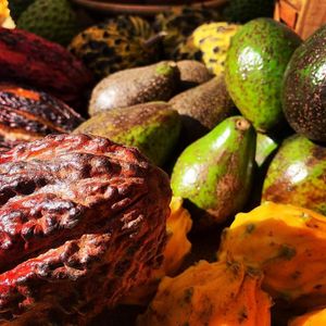  at Florida Fruit Cooperative - Williams Park in St Pete Beach