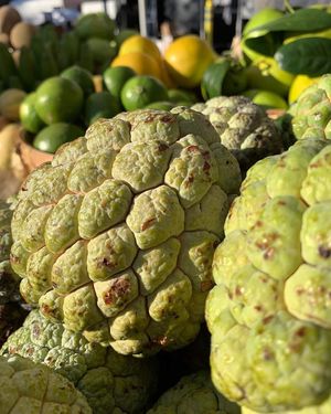  at Florida Fruit Cooperative - Williams Park in St Pete Beach