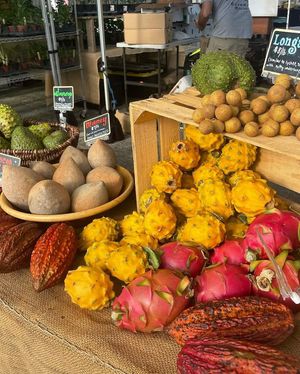  at Florida Fruit Cooperative in St Pete Beach