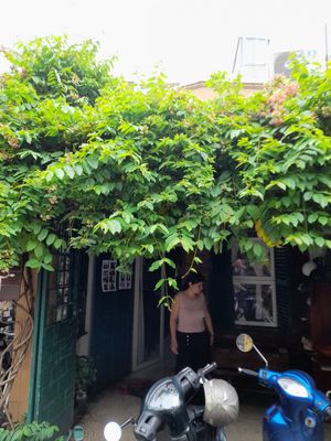 Outside at Quán Chay Nhà in Ho Chi Minh City