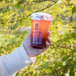  at Mooboo - Farnborough in Farnborough