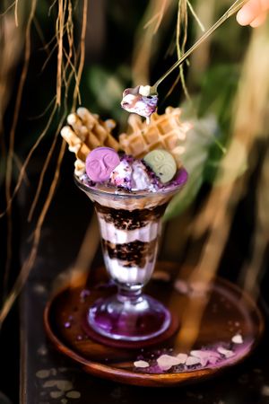 Frozen fairytale - ice cream dessert with veg.waffle, chocolate and almond butter  at Seeds of Dreams in Koh Phangan