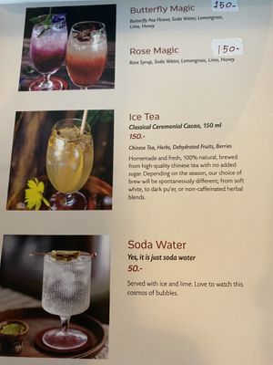 Honey, I shrunk the definition of animals to uninclude bees!   at Seeds of Dreams in Koh Phangan